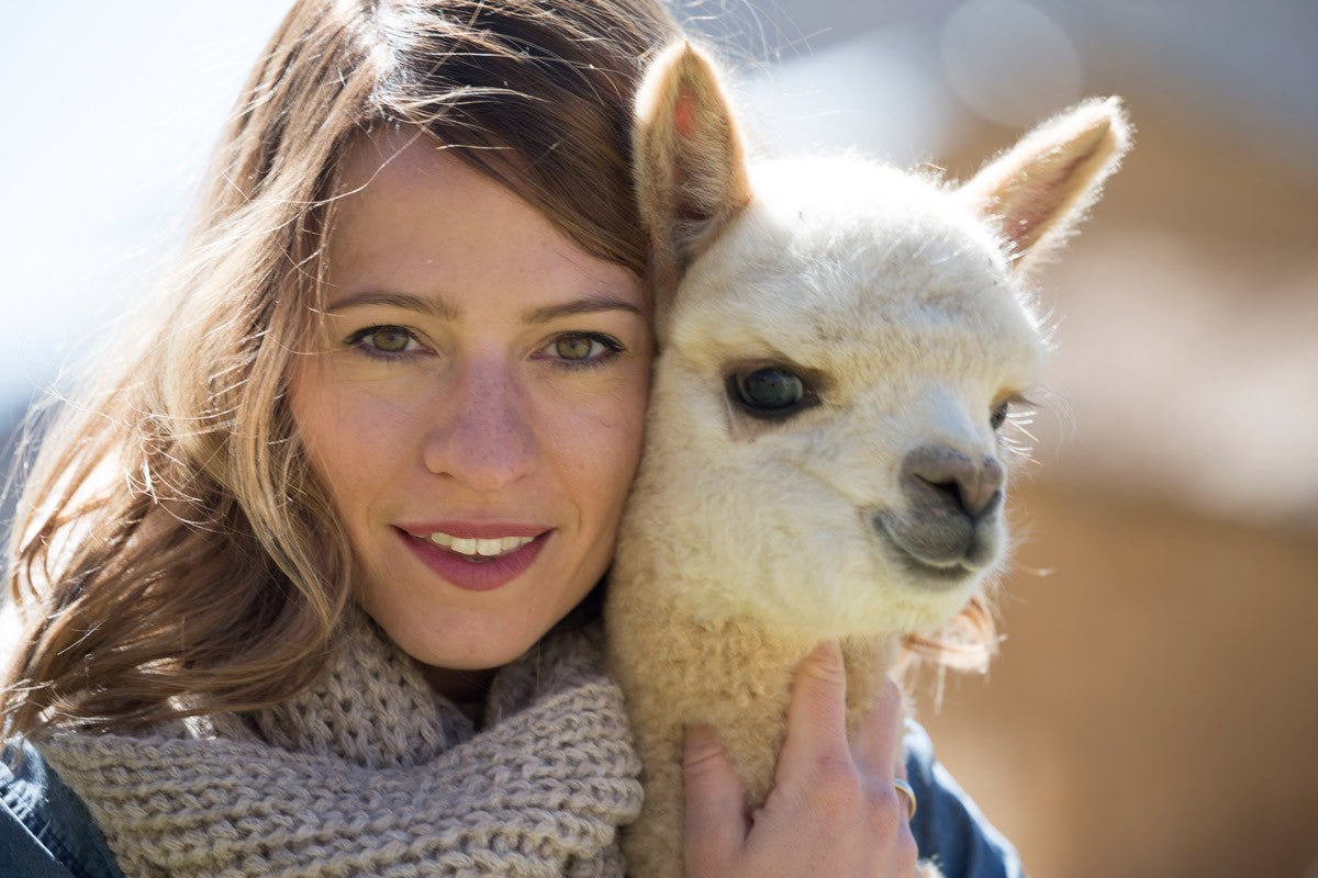#4/2016: Es gibt sie also wirklich: Zuckersüße Baby-Alpakas!
